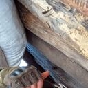 ���������� ������, ���� ������� Maksim, 38 ���, ������������ ��� ������, ����� � ���������, c�������� ���������