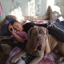 ���������� ���������, ���� ������� ������, 47 ���, ������������ ��� ������, ����� � ���������