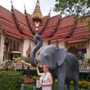  ,   , 58 ,   ,   , c 