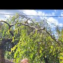 ���������� �����, ���� ������� ��������, 65 ���, ������������ ��� c�������� ���������