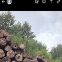  ,   , 43 ,   ,   , c 