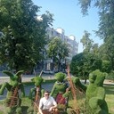  ,   Maxim, 36 ,   ,   , c , 