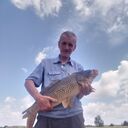  ,   , 52 ,   ,   