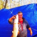 ���������� ���������, ���� ������� ������������, 50 ���, ������������ ��� ����� � ���������, c�������� ���������, ���������