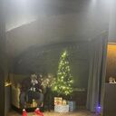 ���������� ���������, ���� ������� �����, 26 ���, ������������ ��� ������, ����� � ���������