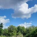 ���������� ������, ���� ������� �����, 54 ����, ������������ ��� c�������� ���������