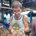 ���������� �����, ���� ������� ������, 62 ����, ������������ ��� ������, ����� � ���������