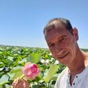 ���������� ������, ���� ������� ��������, 54 ����, ������������ ��� c�������� ���������