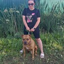  -,   , 35 ,   ,   , c , 