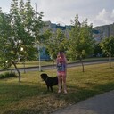  ,   , 51 ,   c 