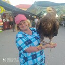 ���������� ����������, ���� ������� ���, 31 ���, ������������ ��� ����� � ���������, c�������� ���������