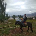 ���������� ������, ���� ������� ����, 38 ���, ������������ ��� ������, ����� � ���������, c�������� ���������, ���������