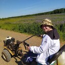 ���������� �����, ���� ����� �������, 23 ����, ������������ ��� ������, ����� � ���������