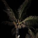 ���������� �������, ���� ����� Sunshine, 23 ����, ������������ ��� ������, ����� � ���������, ���������