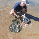 ���������� ������, ���� ������� Saken, 54 ����, ������������ ��� ������, ����� � ���������, c�������� ���������, ���������