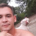  --,   , 31 ,   ,   , c 