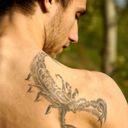  ,   Maxim, 42 ,   , 