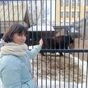 ���������� ������, ���� ������� ������, 38 ���, ������������ ��� ������, ����� � ���������, c�������� ���������, ���������