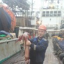 ���������� �����������, ���� ������� ���������, 37 ���, ������������ ��� ����� � ���������, c�������� ���������