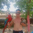 ���������� �������, ���� ������� ���������, 65 ���, ������������ ��� ������, ����� � ���������, c�������� ���������