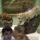 ���������� ������, ���� ������� ����, 36 ���, ������������ ��� ������, ����� � ���������, c�������� ���������