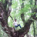 ���������� �����, ���� ������� Elmin, 39 ���, ������������ 