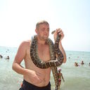 ���������� ��������, ���� ������� ���, 42 ����, ������������ ��� ������, ����� � ���������, c�������� ���������