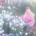 ���������� �������, ���� ������� �������, 45 ���, ������������ ��� ������, ����� � ���������, c�������� ���������