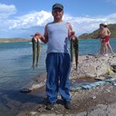  ,   , 53 ,   ,   , c 