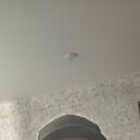 ���������� �����������, ���� ������� �����, 55 ���, ������������ ��� ������, ����� � ���������