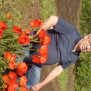  ,   , 71 ,   ,   , c 