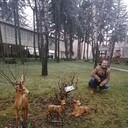 ���������� ������, ���� ������� �������, 38 ���, ������������ ��� ����� � ���������, c�������� ���������