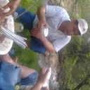  ,   , 44 ,   ,   , c , 