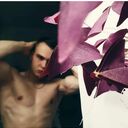 ���������� �����, ���� ������� ����, 29 ���, ������������ ��� ������, ����� � ���������, c�������� ���������, ���������