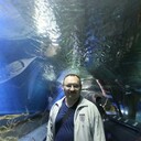  ,   , 56 ,   ,   