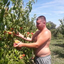 ���������� ��������, ���� ������� ����, 31 ���, ������������ ��� ������, ����� � ���������