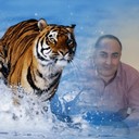 ���������� ���������, ���� ������� AZAD, 50 ���, ������������ ��� ������, ����� � ���������, c�������� ���������