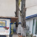 ���������� ������, ���� ������� Ross, 34 ����, ������������ ��� ������, ����� � ���������, c�������� ���������