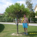  ,   , 67 ,   ,   , c 