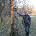 ���������� �����, ���� ������� �0936136899, 50 ���, ������������ ��� ������