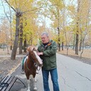  ,   , 55 ,     , c 