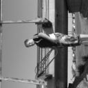 ���������� ��������, ���� ������� ����, 32 ����, ������������ ��� ������