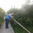 ���������� ��������, ���� ������� ������, 40 ���, ������������ ��� ����� � ���������, c�������� ���������