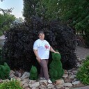 ���������� ��������, ���� ������� �����, 56 ���, ������������ ��� c�������� ���������