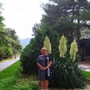  ,   , 62 ,   ,   , c 