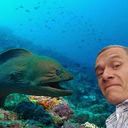 ���������� �������, ���� ������� �����, 43 ����, ������������ ��� ������, ����� � ���������, c�������� ���������