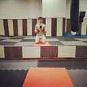 ���������� ������, ���� ������� ������, 29 ���, ������������ ��� ������, ����� � ���������