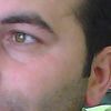  -,   , 43 ,  