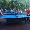  ,   Ali, 36 ,   ,   , c 