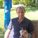 ���������� ���������, ���� ������� ���������, 50 ���, ������������ ��� ������, ����� � ���������